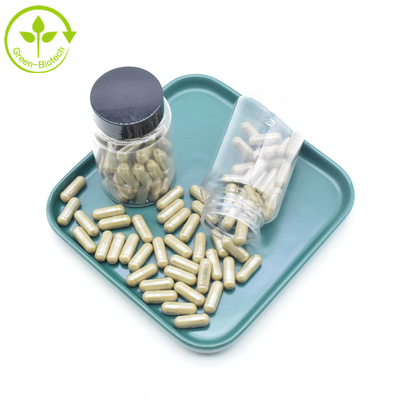 Cápsulas puras do suplemento 2% 10% 40% 500mg Turkesterone ao extrato de Turkestanica do Ajuga