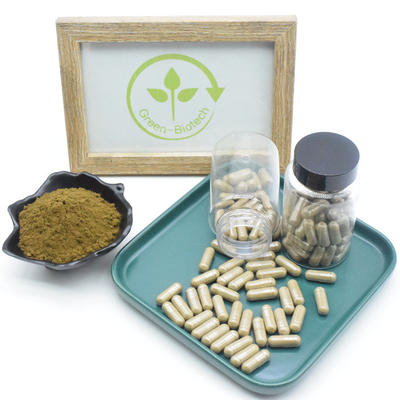 O extrato Turkesterone Turkesterone 500mg de Turkestanica do Ajuga encerra cápsulas de Turkesterone