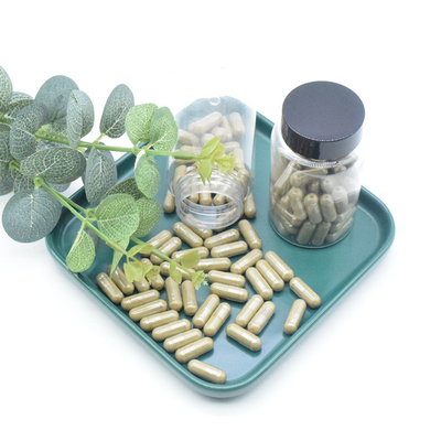 O extrato de Turkestanica do Ajuga do extrato da planta pulveriza cápsulas de 40% 500mg/60caps/Bottle Turkesterone