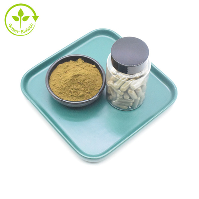 Extrato Turkesterone Capsuels da marca própria 10% 20% Turkesterone de Turkestanica Turkesterone do Ajuga do suplemento ao OEM