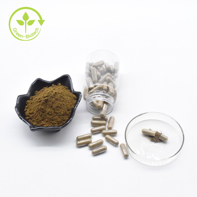 O Ajuga puro Turkesterone da marca própria do pó de Turkesterone 40% da venda por atacado da fábrica encerra 500mg