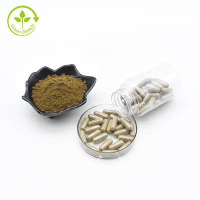 Os suplementos Turkesterone ao body building suplementam cápsulas de Turkesterone do Ajuga 500mg