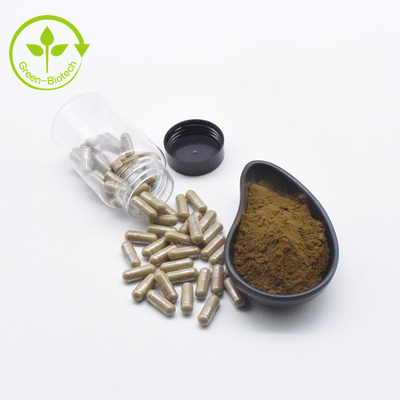 O extrato de Turkestanica do Ajuga do extrato da planta pulveriza cápsulas de 10% 500mg/60caps/Bottle Turkesterone