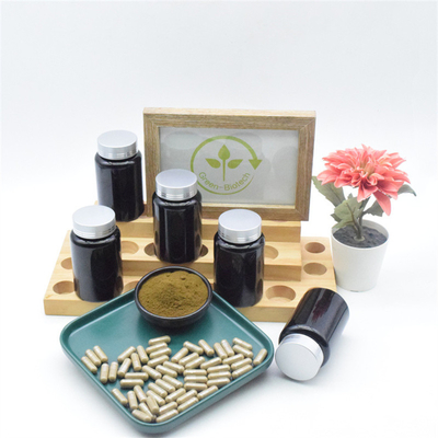 O Ajuga que natural de 100% Turkestanica extrai Turkesterone 10% encerra o pó puro de Turkesterone