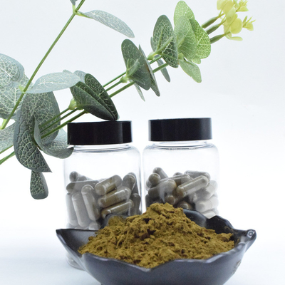 O extrato 100% puro maioria por atacado de Turkestanica do Ajuga de 2% 10% pulveriza o pó de Turkesterone