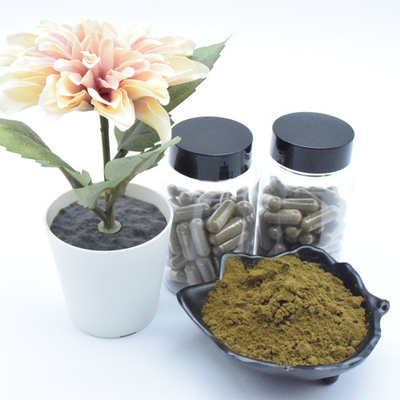 O extrato puro de Turkestanica do Ajuga do suplemento pulveriza cápsulas de 40% 500mg Turkesterone