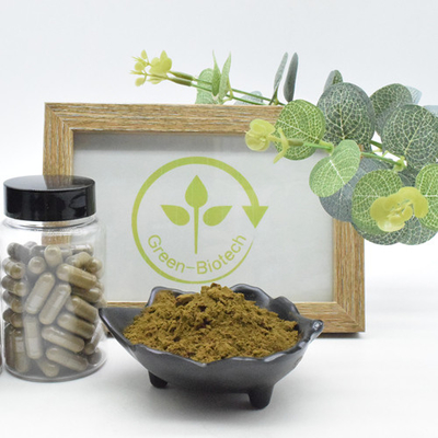 Extrato natural de Turkestanica do Ajuga do pó 2% 10% 40% de 100% Turkesterone