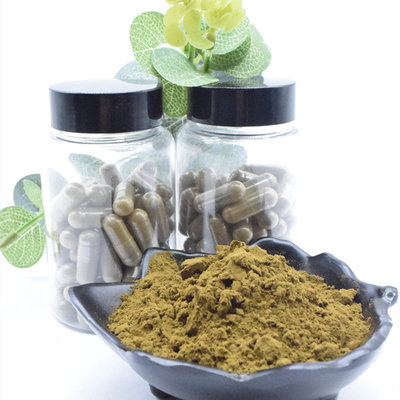 Extrato natural de Turkestanica do Ajuga do pó 2% 10% 40% de 100% Turkesterone