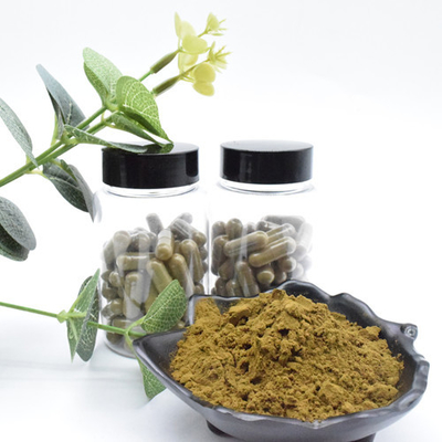 O Ajuga Turkesterone da qualidade superior pulveriza 10 que Turkesterone extrai o extrato da planta de Turkesterone