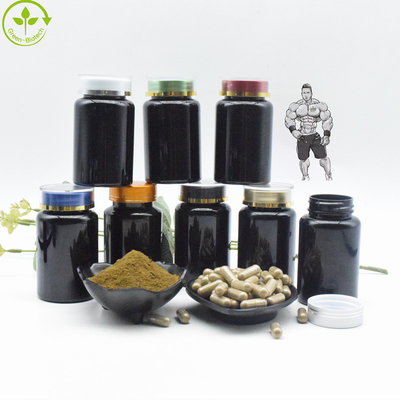 O extrato orgânico natural de Turkestanica do Ajuga pulveriza cápsulas de 10% Turkesterone