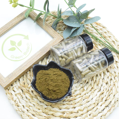 O Ajuga Turkestanica do suplemento ao alimento extrai o pó de 10% 20% Turkesterone