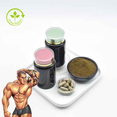 O extrato do volume da fábrica pulveriza a pureza alta 2% puro 10% 20% 40% Turkesterone do pó do extrato de 1% Turkesterone