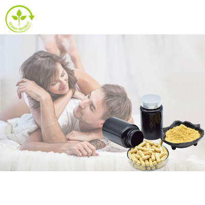 Pó 1% 3% 5% 10% Tongkat Ali Extract de Tongkat Ali Capsules 500mg/60caps/Bottle Eurycomanone do extrato da planta
