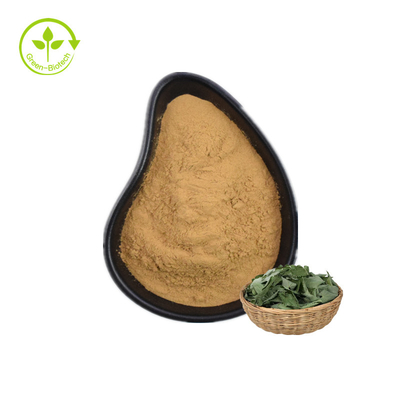 O Epimedium Brevicornum Maxim Epimedium Sagittatum Extract Icariin do extrato do Barrenwort da planta pulveriza a erva daninha caloso da cabra 10%