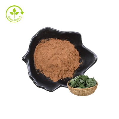 O melhor pó de venda do Epimedium P.E. 20% Lcariin do extrato da planta com HPLC