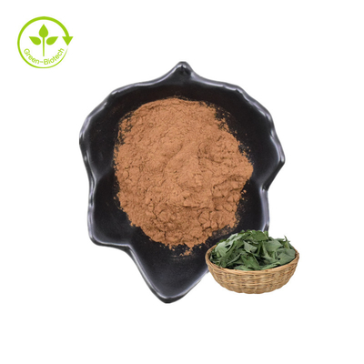 O melhor pó de venda do Epimedium P.E. 20% Lcariin do extrato da planta com HPLC