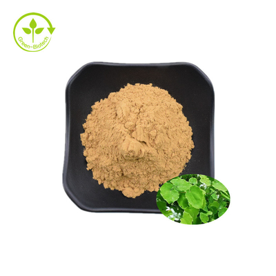 Extrato de alta qualidade do Epimedium de Icariin 50% 60% 80% 98%