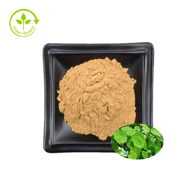 Extrato 98% Icaritin Honey Goat Weed Extract do Epimedium 98% Icaritin