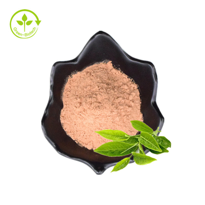 As folhas de chá do verde do suplemento aos cuidados médicos do preço de grosso de preço de fábrica extraem Polyphenols do chá pulverizam