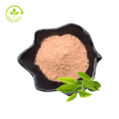 As folhas de chá do verde do suplemento aos cuidados médicos do preço de grosso de preço de fábrica extraem Polyphenols do chá pulverizam
