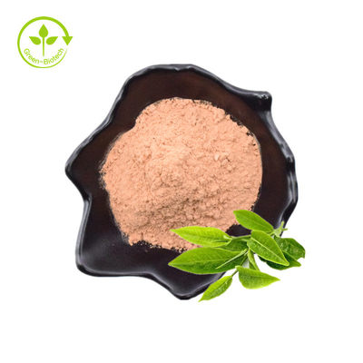 Polyphenol do chá, EGCG, pó do extrato do chá verde