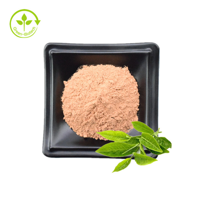 O extrato natural EGCG do chá verde de 100% 98% pulveriza com amostras grátis