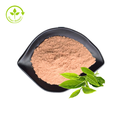 O extrato orgânico puro do chá verde pulveriza os Polyphenols EGCG do chá de 98%
