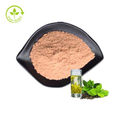 Extrato do chá verde do pó do extrato do chá de verde do Catechin do extrato 80% do chá de verde da fonte da fábrica