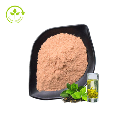 O pó do extrato do Polyphenol do chá do chá verde tem o efeito antioxidante