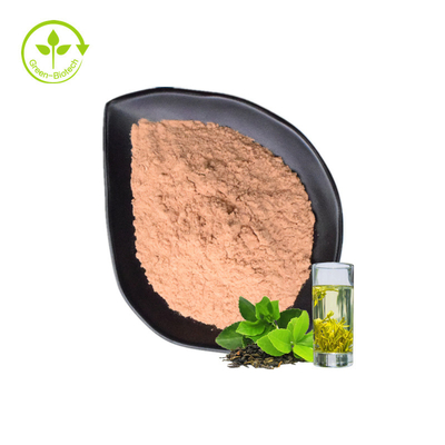 O pó do extrato do Polyphenol do chá do chá verde tem o efeito antioxidante