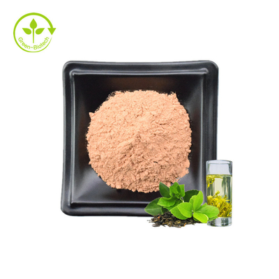 Os antioxidantes do alimento do extrato do chá verde aliviam o pó dos Polyphenols EGCG do chá das alergias