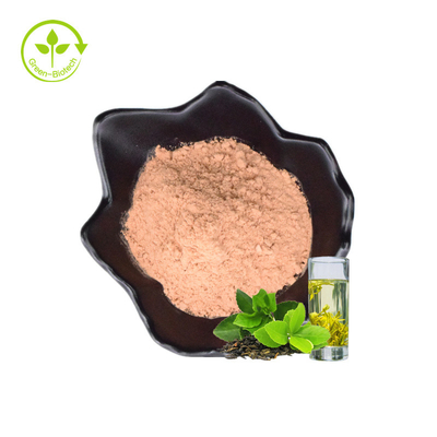 O chá verde de preço de fábrica da fonte extrai Polyphenols do chá de 98% pulveriza no volume
