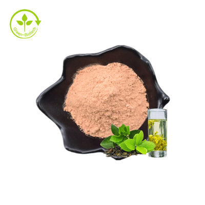 Da folha por atacado da planta da fábrica as folhas de chá verdes naturais 60% de alta qualidade saudáveis extraem o pó imediato