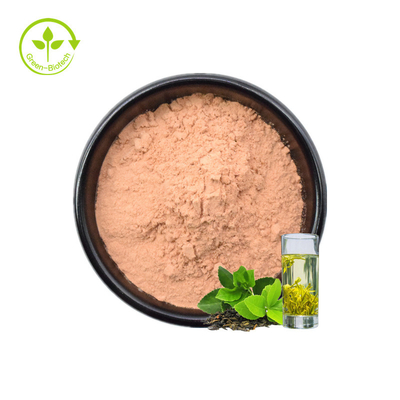 Do alimento natural imediato do pó 20%Polyphenols do chá verde das amostras grátis do ISO extrato orgânico solúvel em água do chá verde