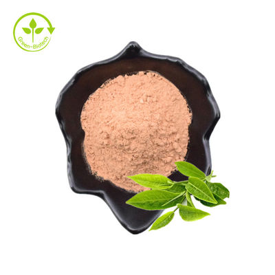 Reduza o sangue que o chá verde gordo extrai o pó dos Polyphenols do chá de 40%
