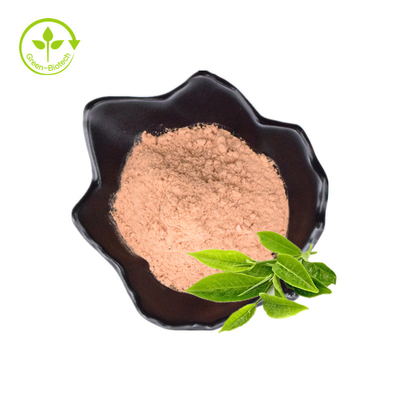Padrão da compra - pó do extrato do chá verde da qualidade com feito organicamente para a venda por preços baixos indianos dos exportadores