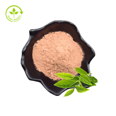 O extrato maioria por atacado do chá verde de 98% pulveriza Polyphenols do chá verde