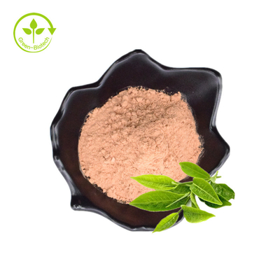 O extrato maioria por atacado do chá verde de 98% pulveriza Polyphenols do chá verde