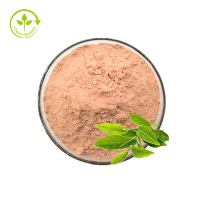 Pó do extrato do chá verde dos Polyphenols 50% 98% do extrato do chá verde
