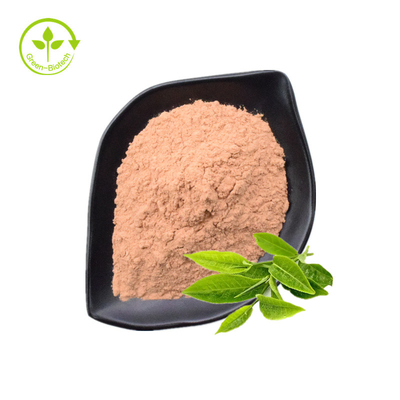 Polyphenol do chá, EGCG, pó do extrato do chá verde