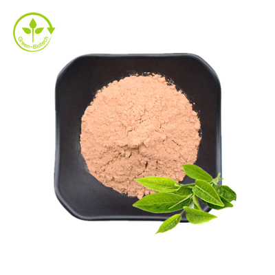 Pó maioria por atacado dos Polyphenols 50% Brown do extrato do chá verde do pó do extrato do chá verde