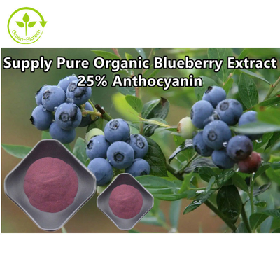 Anthocyanin 25% Blueberry em pó extractos vegetais naturais em pó