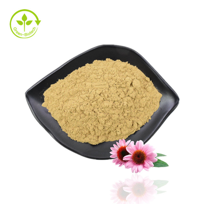 Extrato de Erva Echinacea Extrato de Echinacea Purpurea Extrato de Polifenol Echinacea