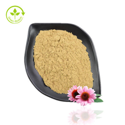 Pó de extrato de Echinacea Purpurea de alta pureza 10%-40% Echinacoside