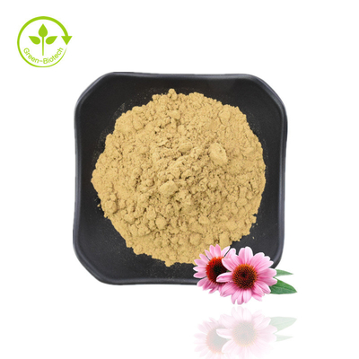 Polifenóis Naturais 4% Ácido Cicórico 1% 4% Extrato de Echinacea Purpurea
