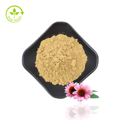 Polifenóis Naturais 4% Ácido Cicórico 1% 4% Extrato de Echinacea Purpurea