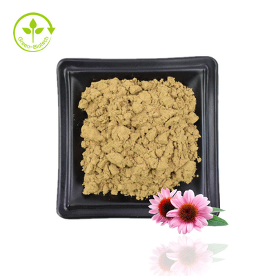 Fornecimento Extrato de Echinacea Purpurea Extrato de Echinacea Natural Echinacea Purpurea Flower Extract 4% Polifenóis