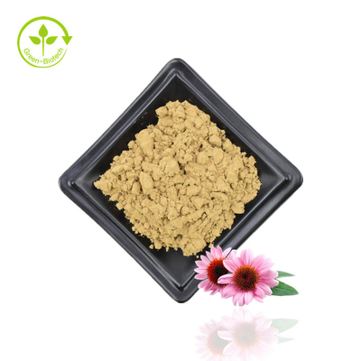 Fornecimento Extrato de Echinacea Purpurea Extrato de Echinacea Natural Echinacea Purpurea Flower Extract 4% Polifenóis