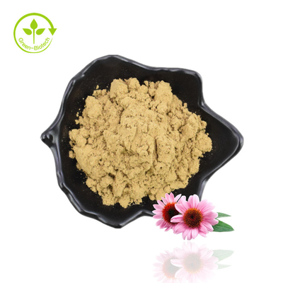 Fornecimento Original do Fabricante Extrato de Raiz de Echinacea Purpurea Grau Alimentício de Boa Qualidade