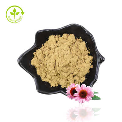 Fornecimento Original do Fabricante Extrato de Raiz de Echinacea Purpurea Grau Alimentício de Boa Qualidade